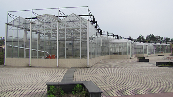 温室种植区.jpg