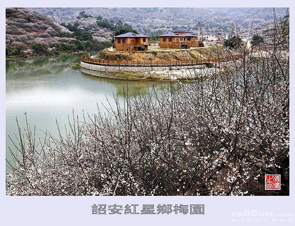 暗香浮动.jpg