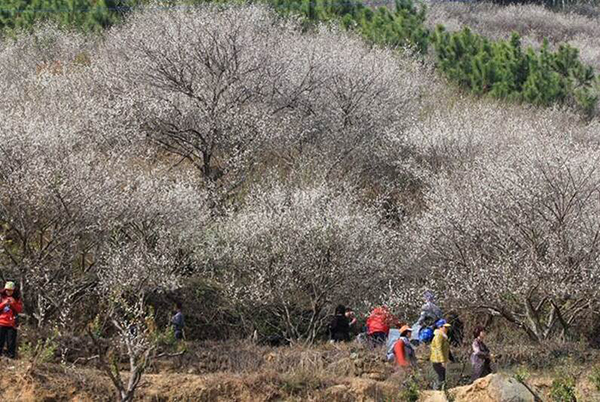 千山暮雪.jpg