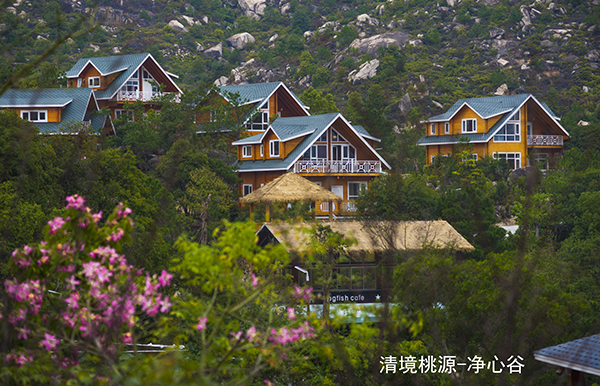 景区净心谷别墅区.jpg