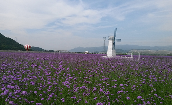 恒润风车园.jpg
