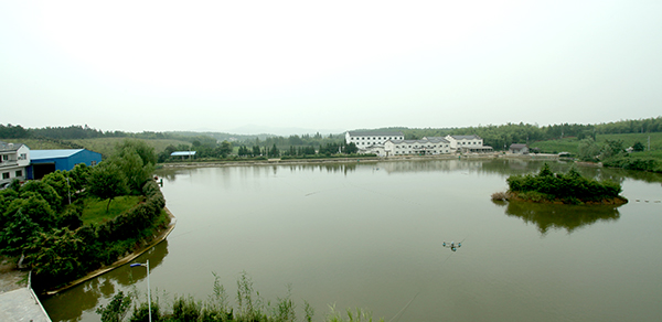 宣木瓜农庄全景.jpg