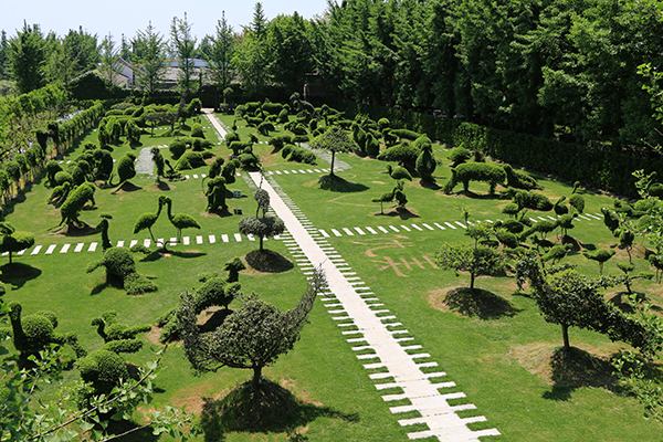 植物动物园.jpg