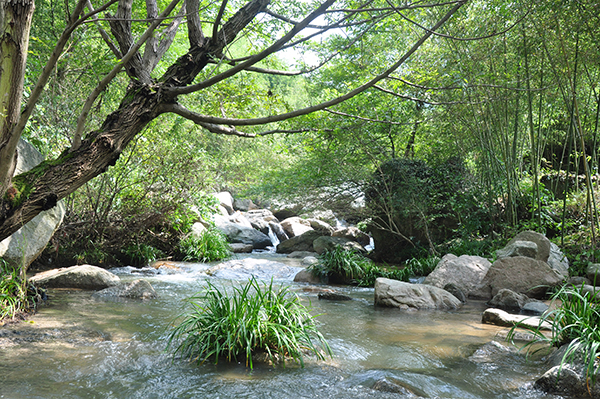 峡谷风光.jpg