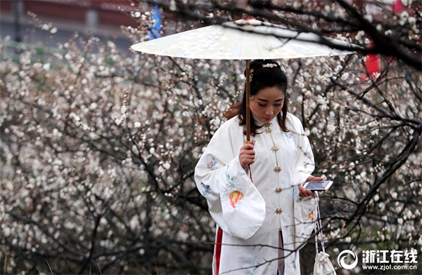 三溪梅花节 副本.jpg