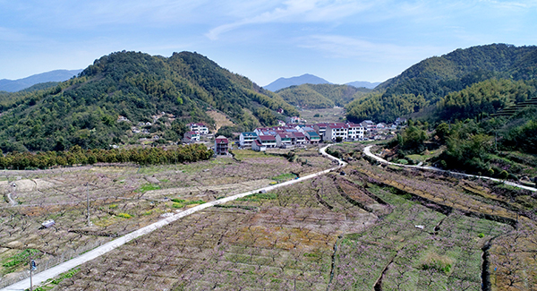 丁宅水蜜桃基地.jpg