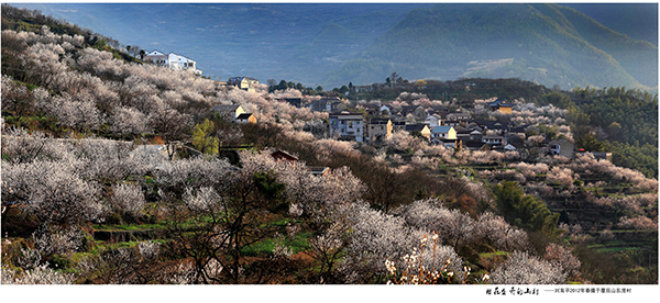 覆卮山景区-东澄古村.jpg