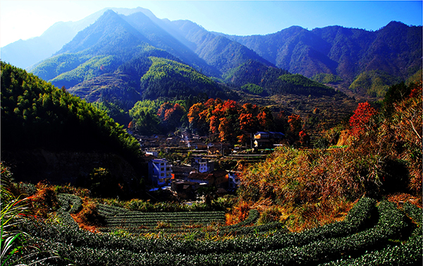 官浦垟.jpg