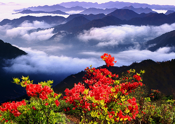 龙泉山之春  .jpg.jpg