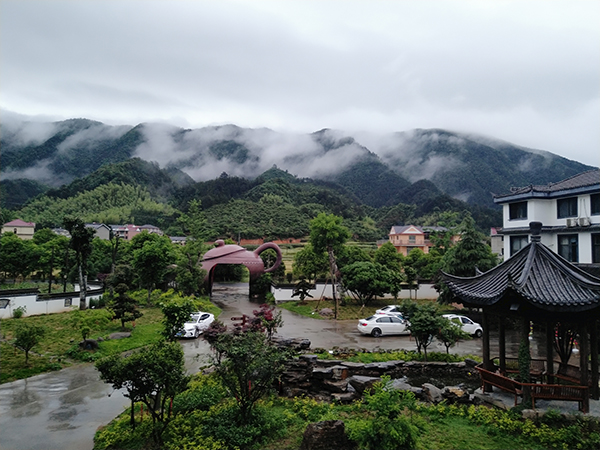 茗博园大门.jpg