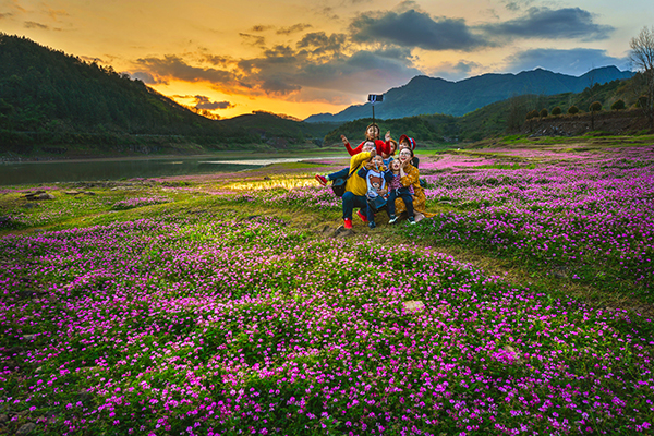 紫云英花海.jpg