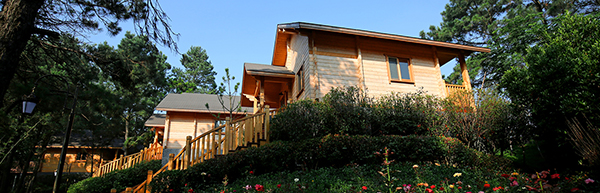 松菓民宿村.jpg