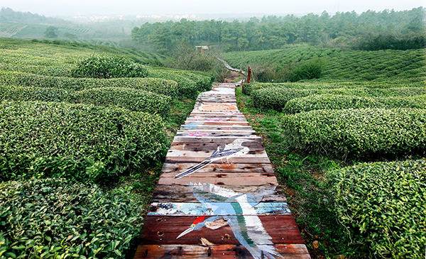 3_看图王(1).jpg