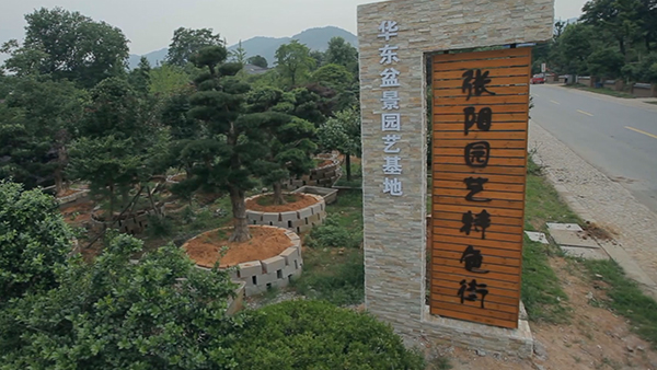 张阳村.jpg