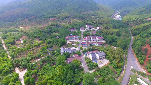 张阳村蒿山组航拍图.jpg