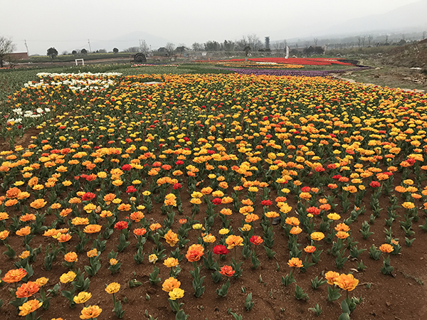 2017-04-01 113427.jpg