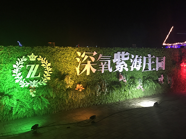 2017-04-22 202655.jpg