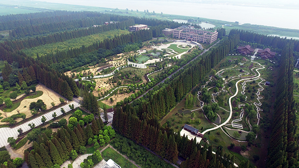 鸟瞰图.jpg