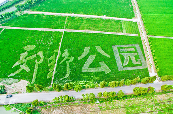 万亩粮田.jpg