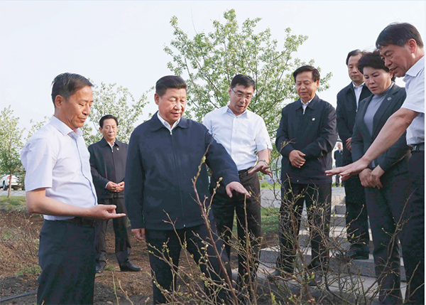 总书记考察友好蓝莓园 副本.jpg