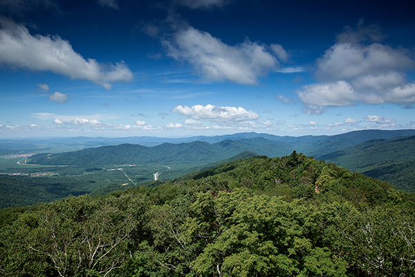 AR2A5300.jpg