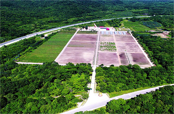 采摘园 副本.jpg