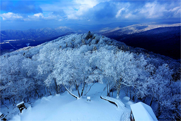 冬季雪景1 副本.jpg