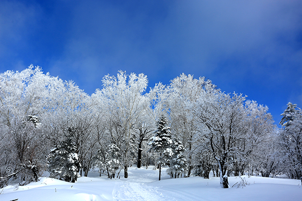 景区冬季雪景.jpg