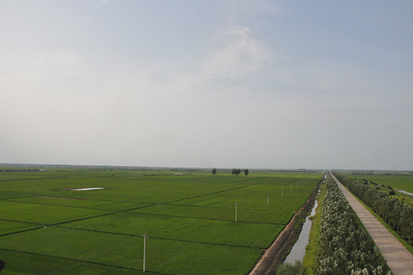 DSC_0057.jpg