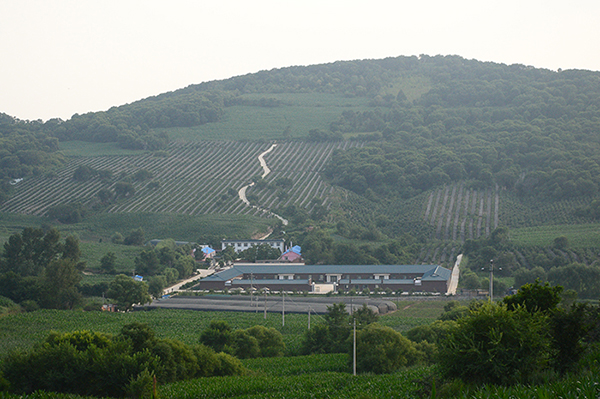 景区全景.jpg