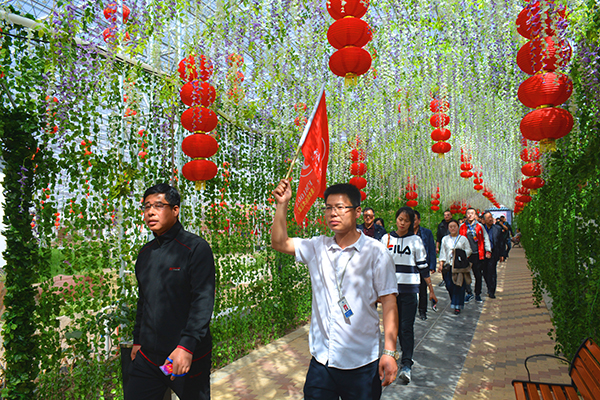 旅游公司带队.jpg