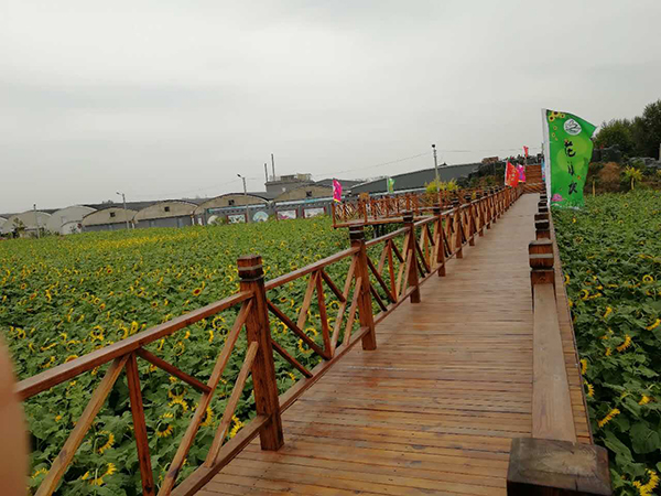 观景游廊.jpg