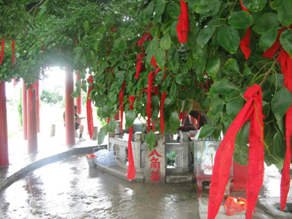 八角井.jpg