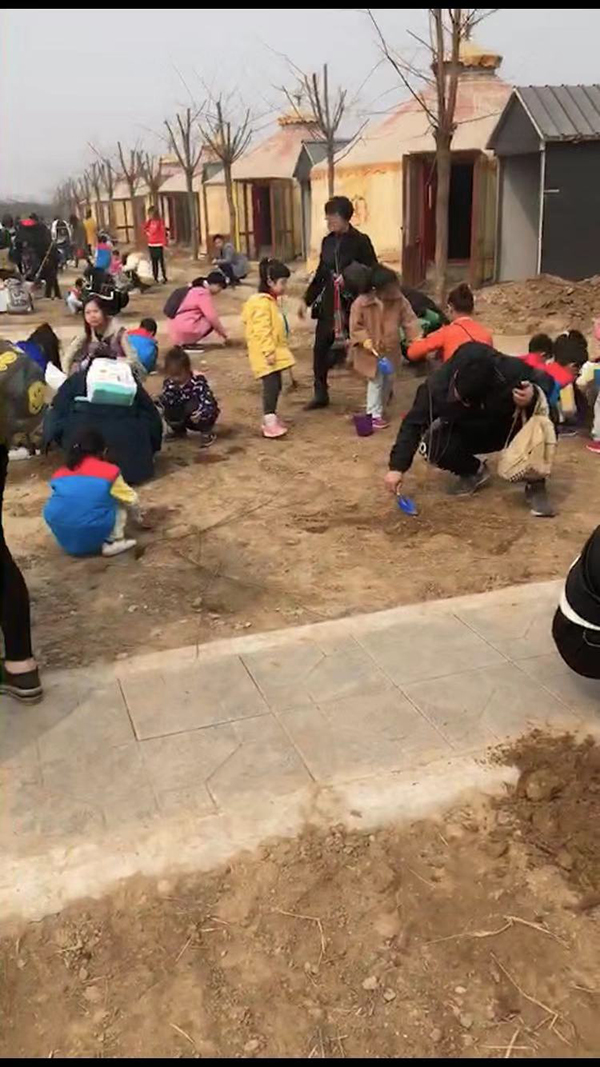 植树节活动.jpg