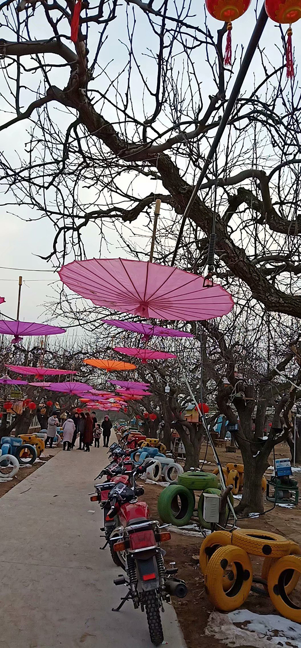 道路.jpg