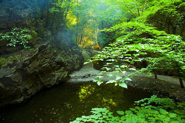 天子山青山碧水.jpg