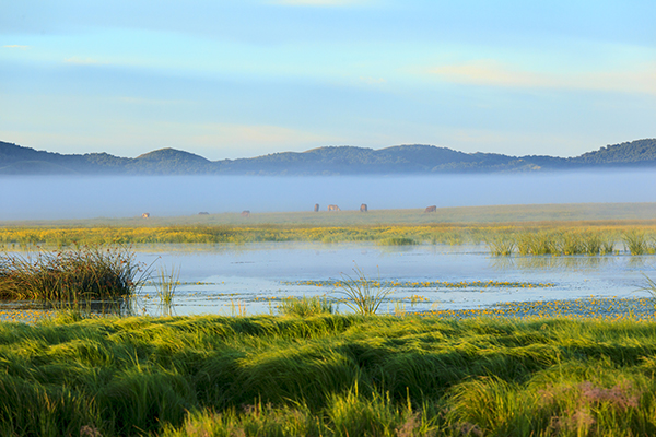 小滦河湿地.jpg