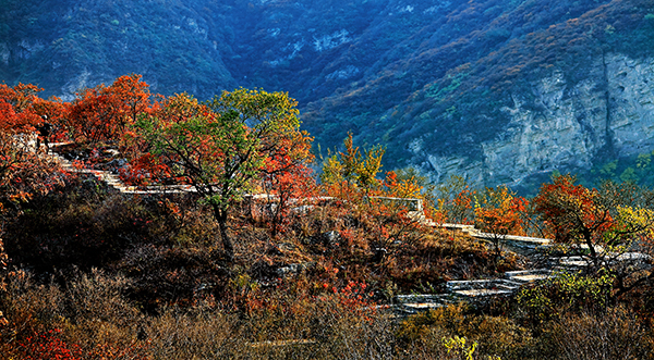 登山步道.jpg