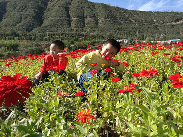 红色系列的花海.jpg