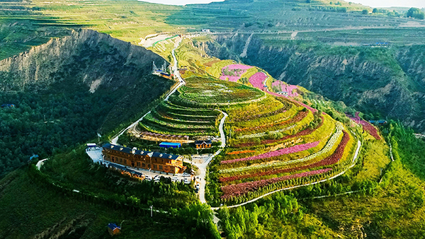 2排子山生态旅游景区花海航拍图.jpg