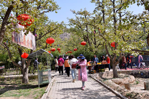 山庄游客.jpg