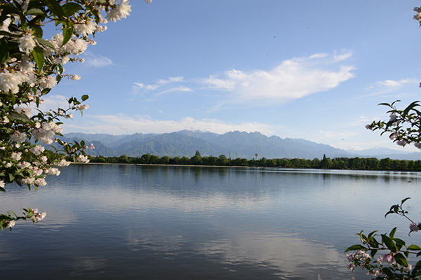 DSC_2742.JPG
