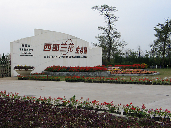西部兰花外景照.jpg