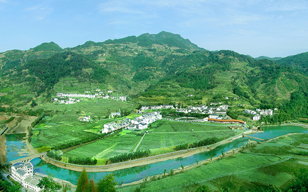 龙头村全貌.jpg