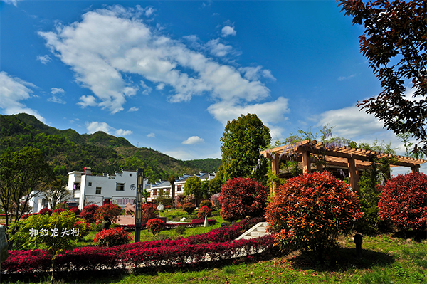 龙头旅游村.png