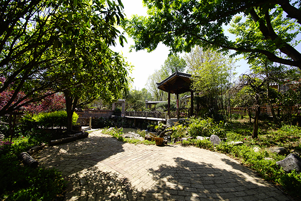 特色植物园—植物科普.JPG