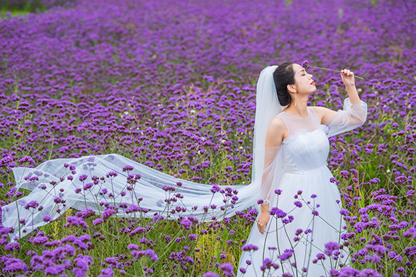 花海美拍.jpg
