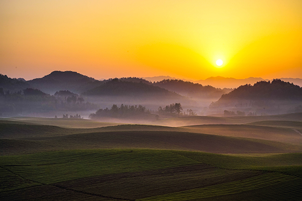 茶海晨曦（李杰）.jpg