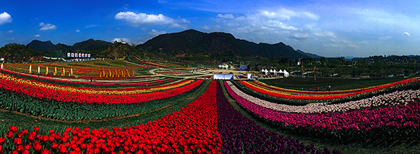 四季花谷.JPG