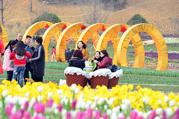 四季花谷赏花.JPG